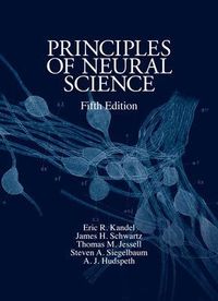 Principles of Neural Science; Eric Kandel, Schwartz James, Thomas Jessell, Steven Siegelbaum, A.J. Hudspeth; 2012