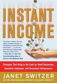Instant Income: Strategies That Bring in the Cash; Janet Switzer; 2014