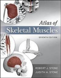 Atlas of Skeletal Muscles; Judith Stone; 2011