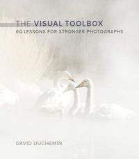 Visual Toolbox, The; David duChemin; 2015