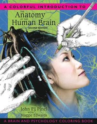 Colorful Introduction to the Anatomy of the Human Brain, A; John Pinel, Maggie Edwards; 2007