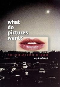 What Do Pictures Want?; W. J. T. Mitchell; 2005