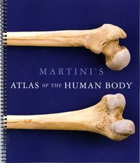 Martini's Atlas of the Human Body (ME Component); Frederic H Martini; 2011