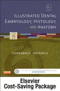 Illustrated Dental Embryology, Histology, and Anatomy - Text and Student Workbook Package; Margaret J. Fehrenbach, Tracy Popowics; 2015