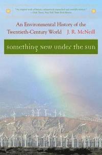 Something New Under the Sun; J R McNeill; 2001