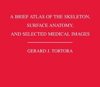 A Brief Atlas of the Skeleton Surface Anatomy, and Selected Medical Images,; Gerard J. Tortora; 2005