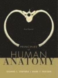 Principles of Human Anatomy; Gerard J. Tortora; 2008