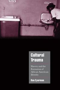 Cultural Trauma; Ron Eyerman; 2001