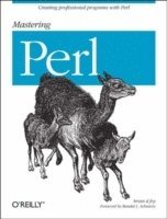 Mastering Perl; Per Foyer; 2007