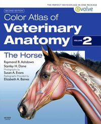 The HorseColor atlas of veterinary anatomy, Stanley H. Done; Raymond R. Ashdown, Stanley H. Done; 2011