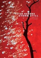 Storm Still; Peter Handke; 2014