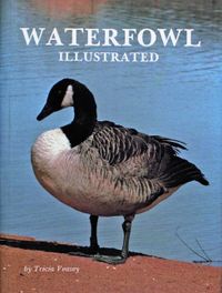 Waterfowl Illustrated; Tricia Veasey; 1997