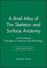 A Brief Atlas of The Skeleton and Surface Anatomy; Gerard J. Tortora; 2014