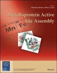 Metalloprotein Active Site Assembly; Michael K. Johnson, Robert A. Scott; 2017