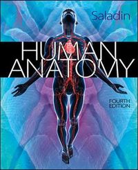 Human Anatomy; Kenneth Saladin; 2013