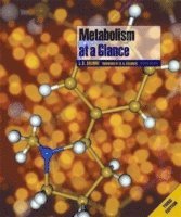 Metabolism at a Glance; Jack Salway; 2004