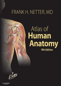 Atlas of human Anatomy; Frank H. Netter; 2006
