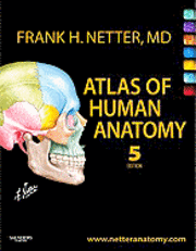 Atlas of Human Anatomy; Netter Frank H.; 2010