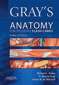 Gray's Anatomy for Students Flash Cards; Richard Drake, Vogl A. Wayne, Mitchell Adam W. M.; 2014