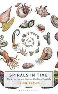 Spirals in Time; Scales Helen; 2015