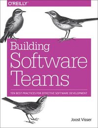 Building Software Teams; Joost Visser, Sylvan Rigal, Gijs Wijnholds, Zeeg Lubsen; 2017