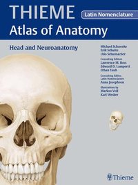 Head and Neuroanatomy - Latin Nomencl. (THIEME Atlas of Anatomy); Schuenke Michael, Schulte Erik, Schumacher Udo, Lamperti Edward D., Ross Lawrence M., Voll Markus; 2010