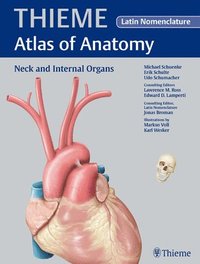 Neck and Internal Organs - Latin Nomencl. (THIEME Atlas of Anatomy); Michael Schuenke, Erik Schulte, Udo Schumacher, Lawrence M Ross, Edward D Lamperti; 2010