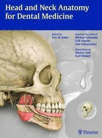 Head and Neck Anatomy for Dental Medicine; Eric W Baker, Michael Schuenke, Erik Schulte, Udo Schumacher; 2010