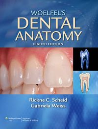 Woelfel's Dental Anatomy; Rickne C. Scheid, Gabriela Weiss; 2011