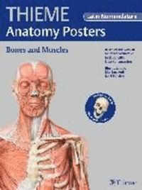 THIEME Anatomy Posters Bones and Muscles, Latin Nomeclature; Michael Schuenke, Erik Schulte; 2014