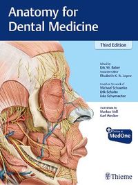 Anatomy for Dental Medicine; Michael Schuenke, Erik Schulte, Udo Schumacher, Eric W Baker; 2020