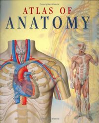 Atlas of Human Anatomy; Giovanni Iazzetti, Enrico Rigutti; 2006
