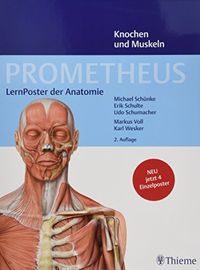 PROMETHEUS LernPoster der Anatomie, Knochen und Muskeln; Michael Schünke, Erik Schulte, Udo Schumacher; 2018