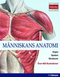 Människans anatomi; Ing-Marie Höök; 2015