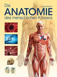 Die Anatomie des menschlichen Körpers; Jordi Vigué-Martín; 0