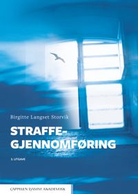 Straffegjennomføring; Birgitte Langset Storvik; 2017