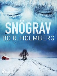 Snögrav; Bo R. Holmberg; 2019