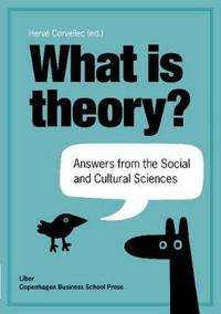 What is Theory?; Hervé Corvellec; 2013