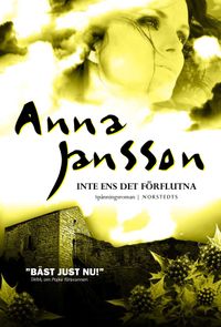 Inte ens det förflutna; Anna Jansson; 2008