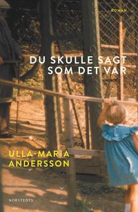 Du skulle sagt som det var; Ulla-Maria Andersson; 2017