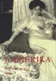 I Amerika; Susan Sontag; 2001