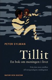 Tillit : en bok om meningen i livet : från den stora smällen till morgondagens middagsmat; P Sylwan; 2005