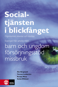 Socialtjänsten i blickfånget : organisation, resurser och insatser; Åke Bergmark, Tommy Lundström, Renate Minas, Stefan Wiklund; 2008