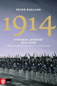 Stridens skönhet och sorg 1914 : första världskrigets inledande år i 68 korta kapitel; Peter Englund; 2014