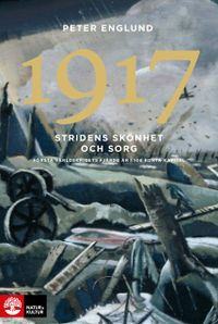 Stridens skönhet och sorg 1917 : första världskrigets fjärde år i 108 korta kapitel; Peter Englund; 2017