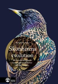 Skönhetens evolution : hur Darwins bortglömda teori om det sexuella urvalet formar djurriket - och oss; Richard O. Prum; 2019