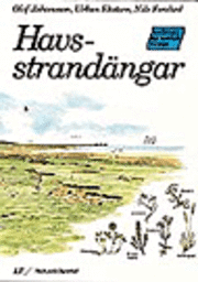 Havsstrandängar; Olof Johansson; 1990