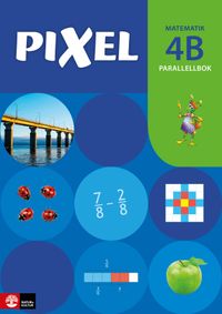 Pixel 4B Parallellbok; Bjørnar Alseth, Mona Røsseland, Gunnar Nordberg; 2016