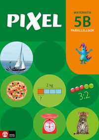 Pixel 5B Parallellbok; Bjørnar Alseth, Mona Røsseland, Gunnar Nordberg; 2017