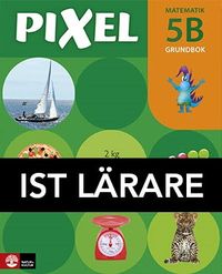 Pixel 5B Grundbok IST; Bjørnar Alseth, Mona Røsseland, Gunnar Nordberg; 2017